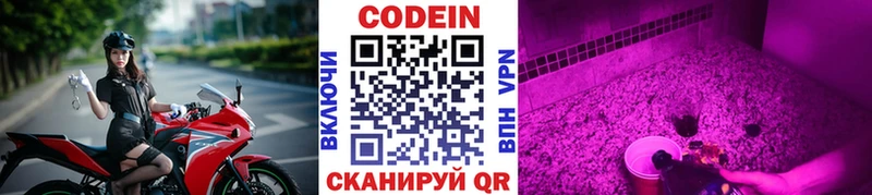 купить наркотики цена  Котлас  Codein Purple Drank 