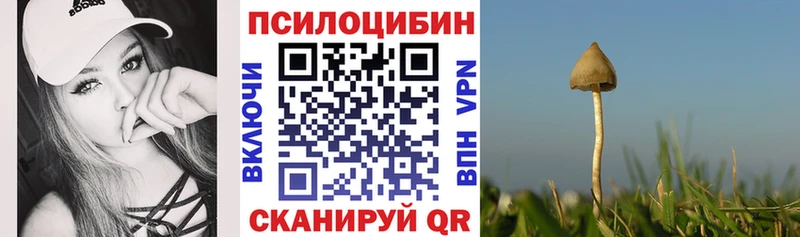 как найти закладки  Котлас  Галлюциногенные грибы прущие грибы 