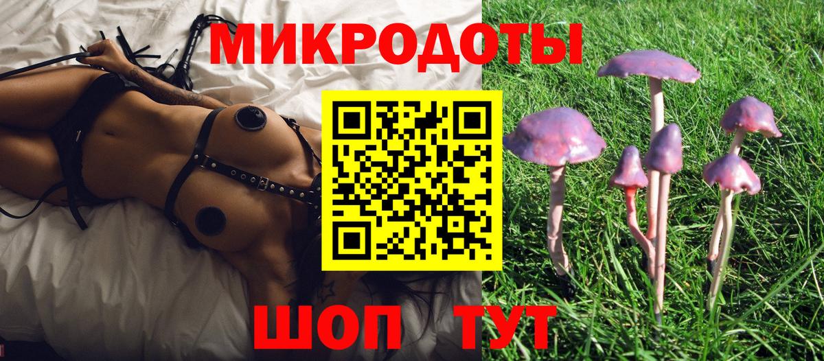 Галлюциногенные грибы GOLDEN TEACHER Котлас