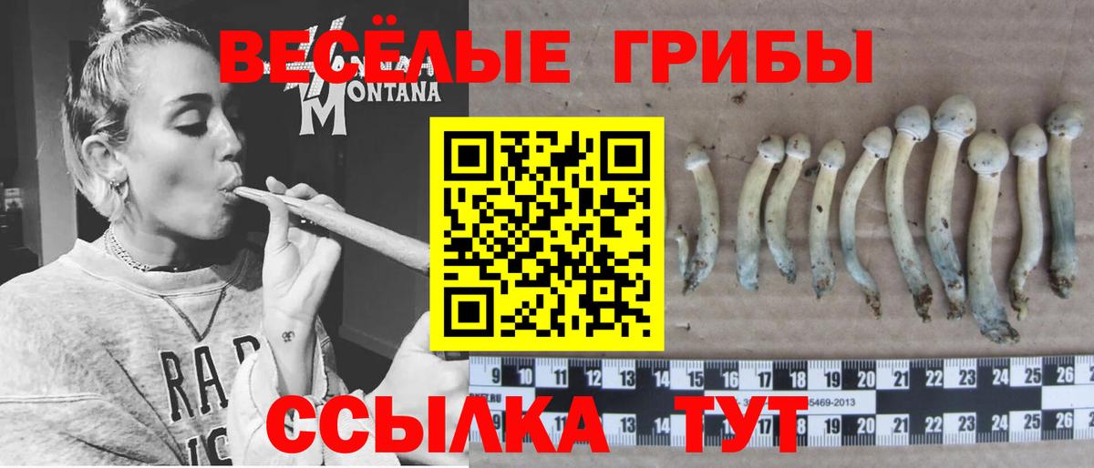 Псилоцибиновые грибы Magic Shrooms  Псилоцибиновые грибы мухоморы  Котлас  купить наркотик  Вход с VPN 