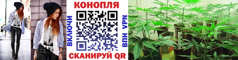 продажа наркотиков Котлас МАРИХУАНА индика